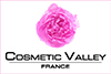 cosmetic valley1